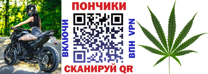 цена   Лесозаводск  Каннабис Amnesia 